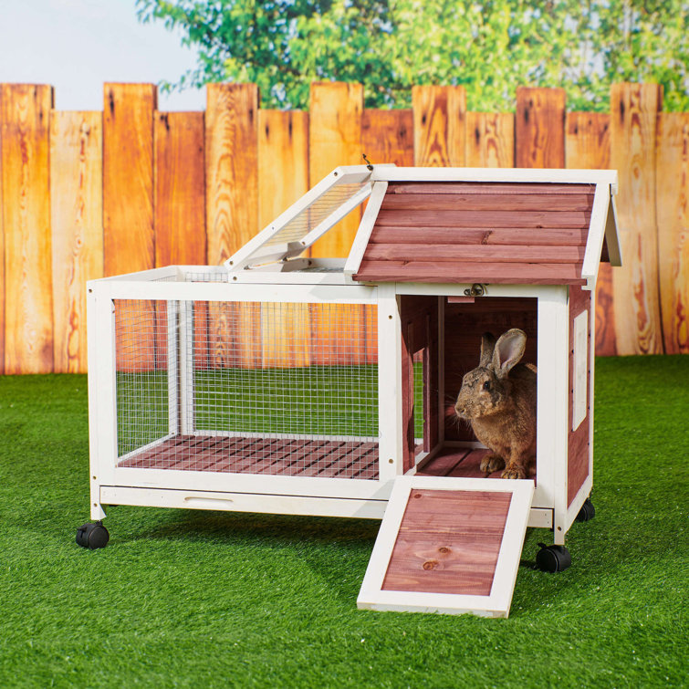 Wayfair bunny sale cage